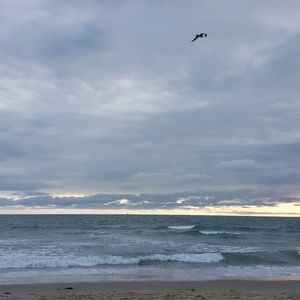 Meet your Posher, Daisy